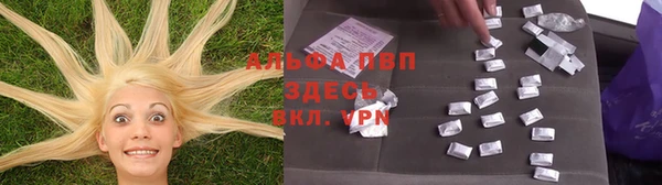 spice Абаза
