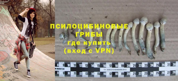 spice Абаза