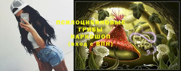 мяу мяу мука Абинск